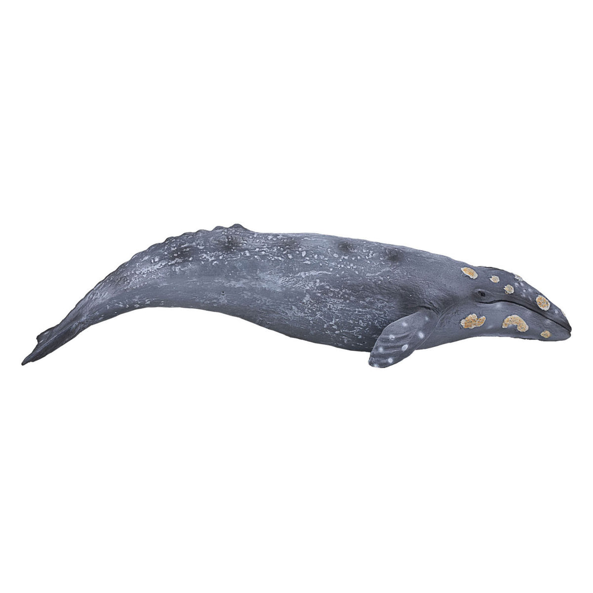 Mojo sealife - ballena gris 387280