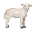 Mojo tierras de cultivo romney cordero de pie - 381065