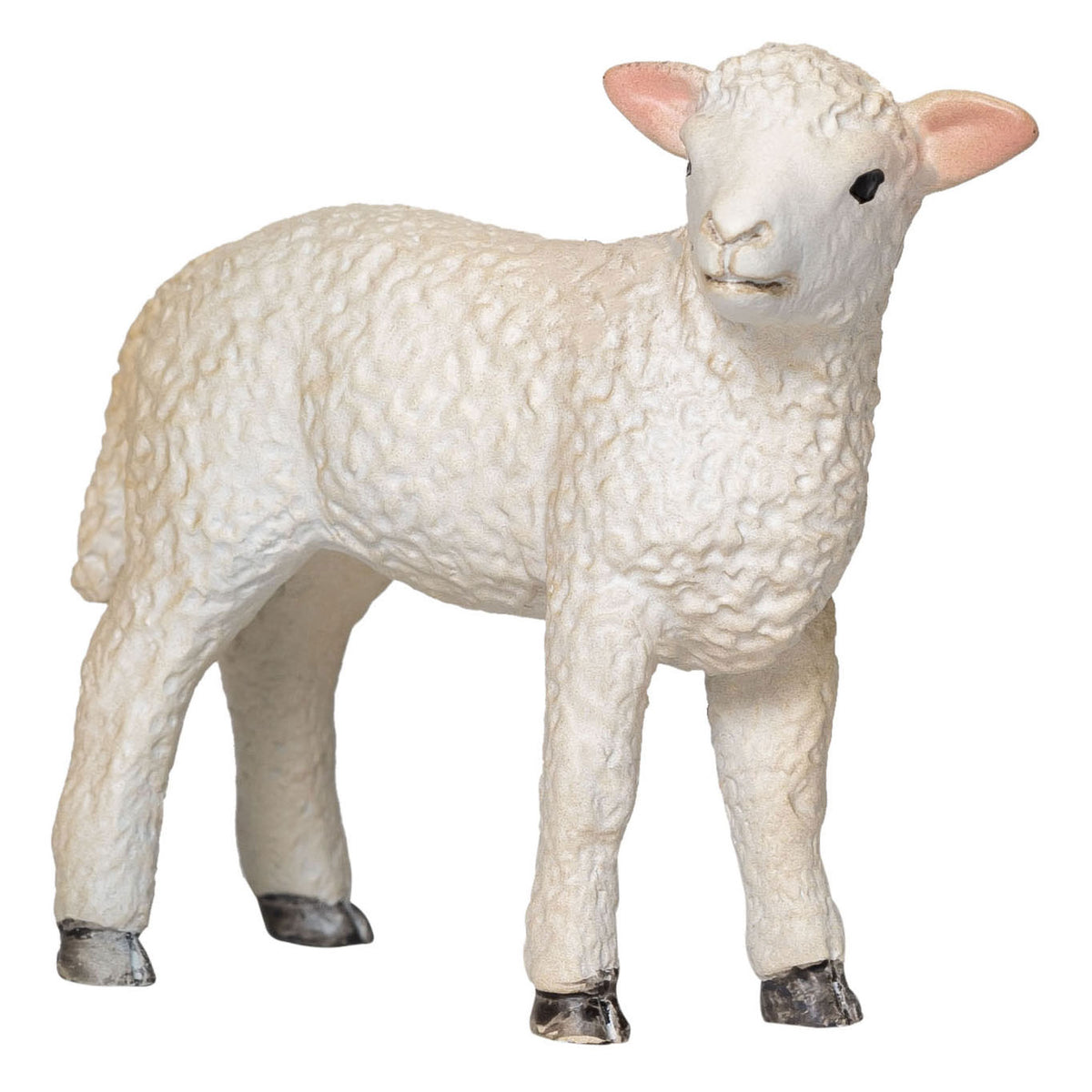 Mojo tierras de cultivo romney cordero de pie - 381065