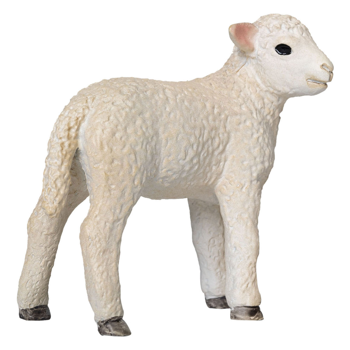 Mojo tierras de cultivo romney cordero de pie - 381065