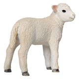 Mojo tierras de cultivo romney cordero de pie - 381065