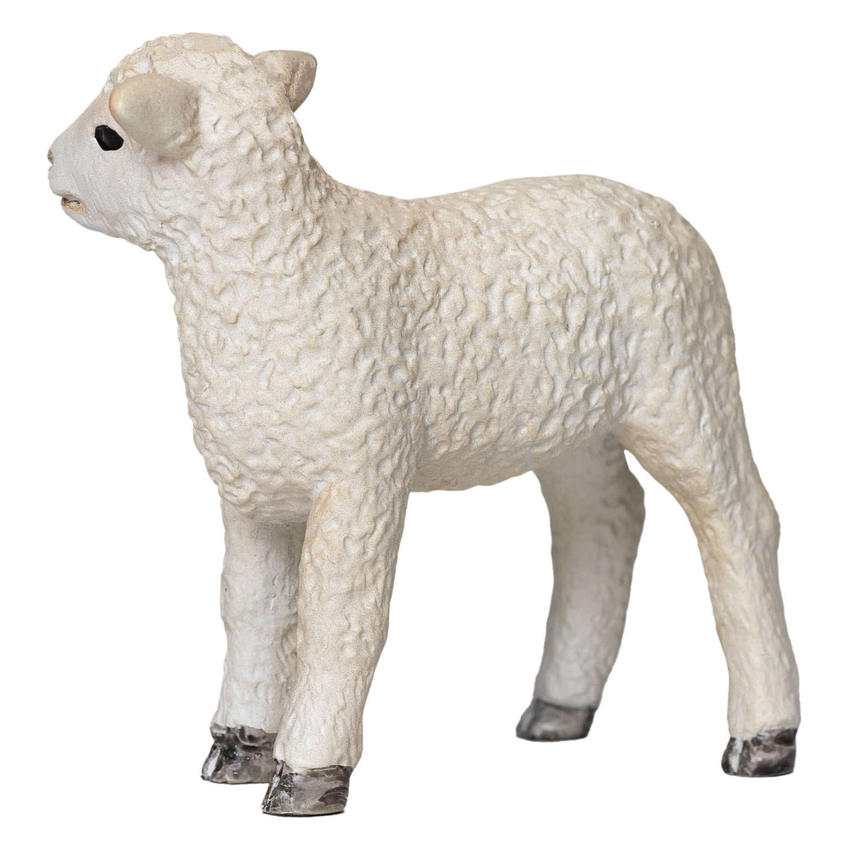 Mojo tierras de cultivo romney cordero de pie - 381065