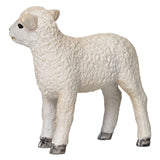 Mojo tierras de cultivo romney cordero de pie - 381065