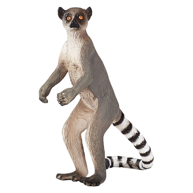 Mojo fauna lémur de cola anillada - 1285431