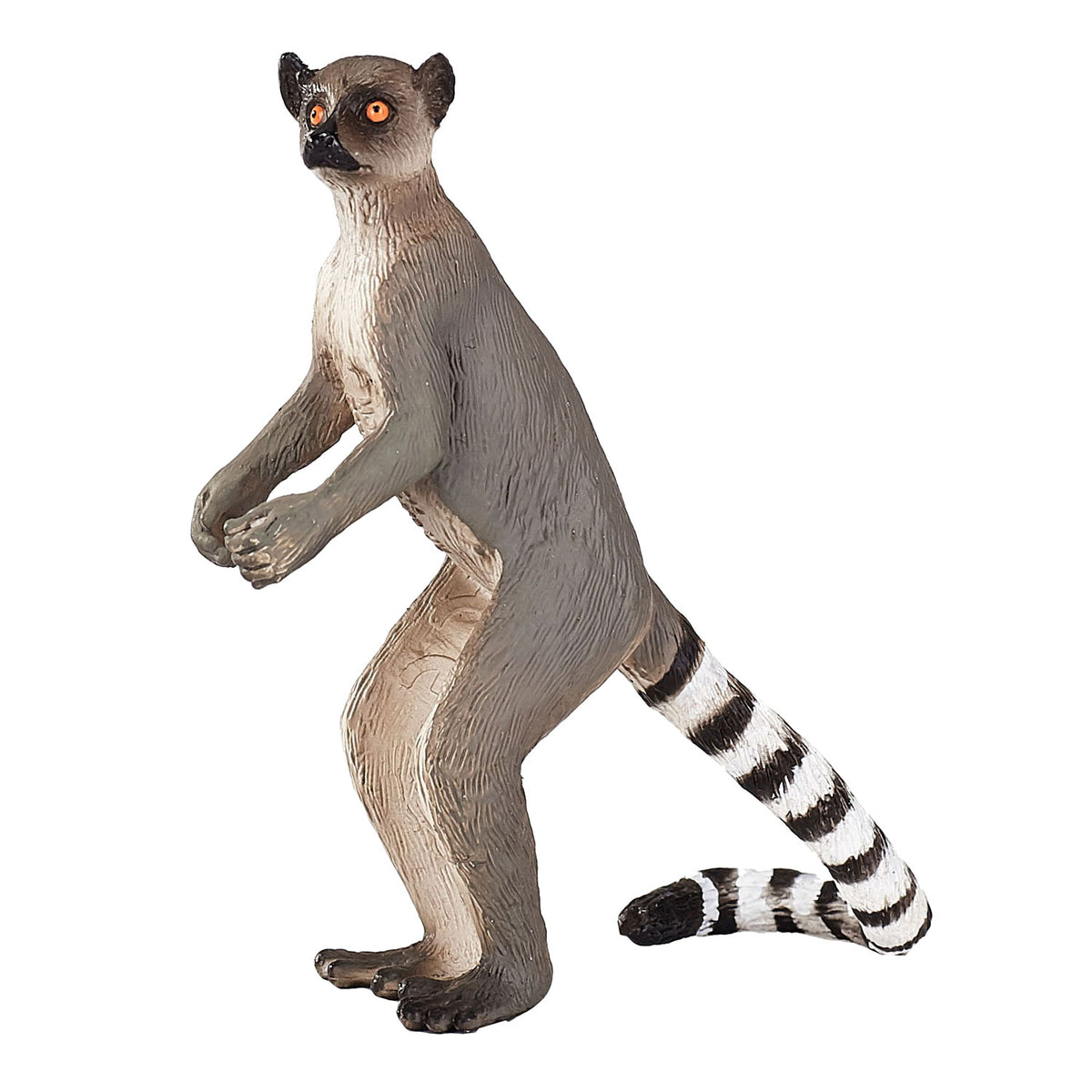 Mojo fauna lémur de cola anillada - 1285431