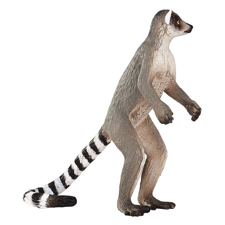 Mojo fauna lémur de cola anillada - 1285431