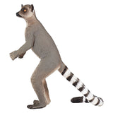 Mojo fauna lémur de cola anillada - 1285431
