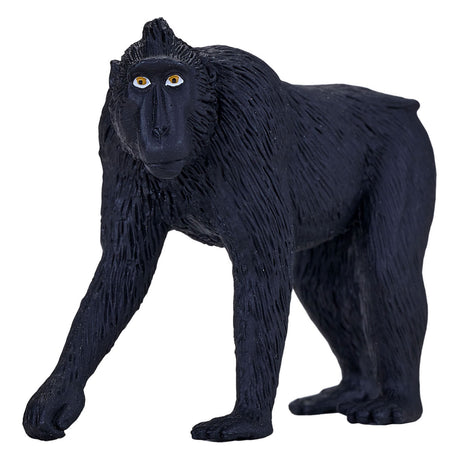 Mojo fauna macaco de corona negra - 387182