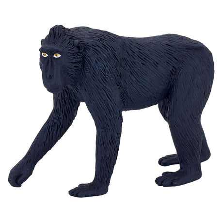 Mojo fauna macaco de corona negra - 387182