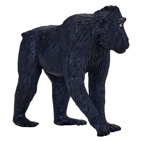 Mojo fauna macaco de corona negra - 387182