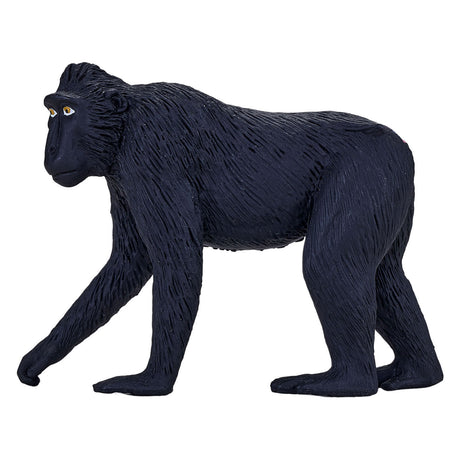 Mojo fauna macaco de corona negra - 387182