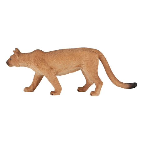 Puma salvaje Mojo - 387143