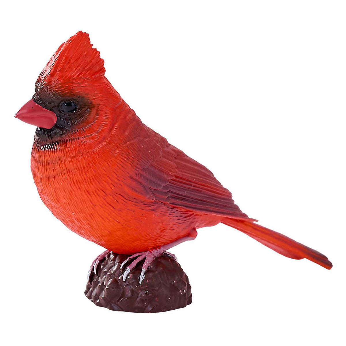 Mojo tierras de cultivo cardenal rojo - 381117