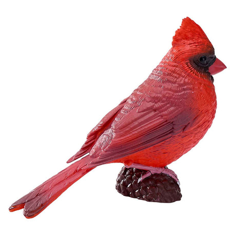 Mojo tierras de cultivo cardenal rojo - 381117
