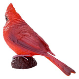 Mojo tierras de cultivo cardenal rojo - 381117