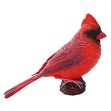 Mojo tierras de cultivo cardenal rojo - 381117