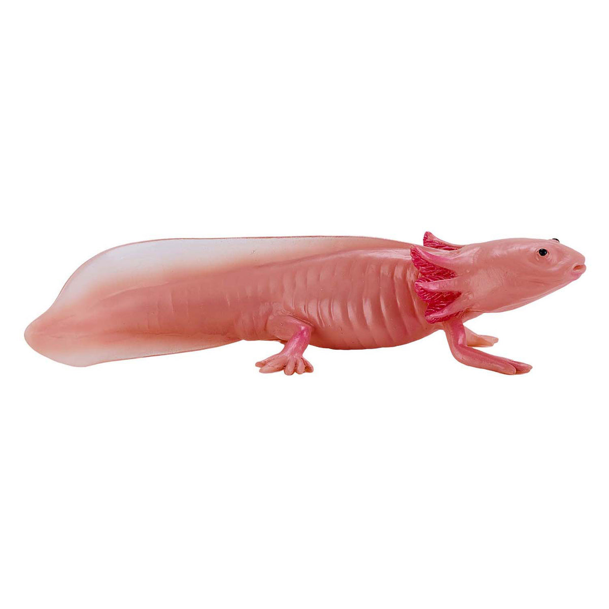 Mojo fauna ajolote 381108