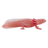 Mojo fauna ajolote 381108