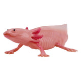 Mojo fauna ajolote 381108