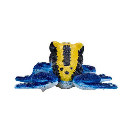 Mojo fauna dardo venenoso rana azul - 381069