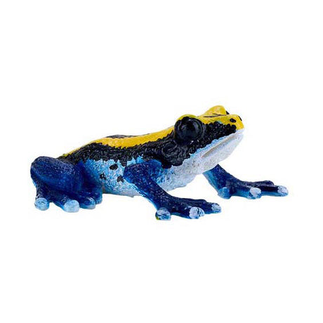 Mojo fauna dardo venenoso rana azul - 381069