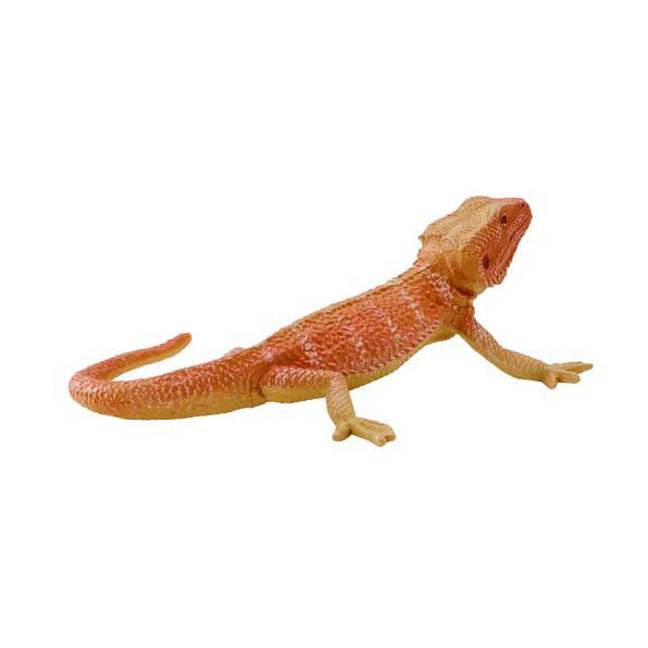 Dragón barbudo salvaje Mojo - 381096