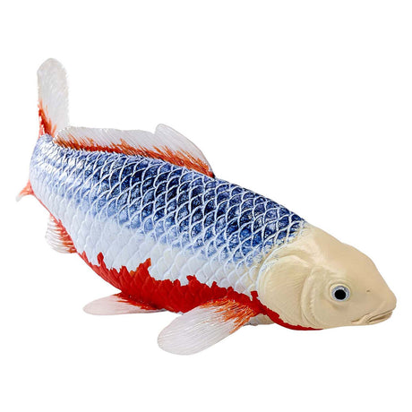 Carpa koi mojo sealife - asagi koi - 381100
