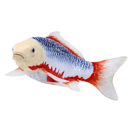 Carpa koi mojo sealife - asagi koi - 381100
