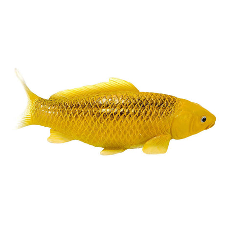 Carpa koi mojo sealife - chin matsuba koi - 381105