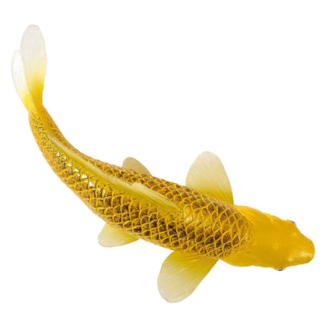 Carpa koi mojo sealife - chin matsuba koi - 381105