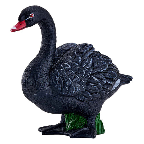 Mojo tierras de cultivo cisne negro - 381067