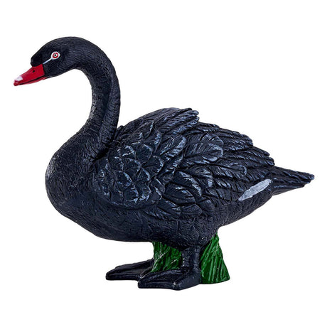 Mojo tierras de cultivo cisne negro - 381067
