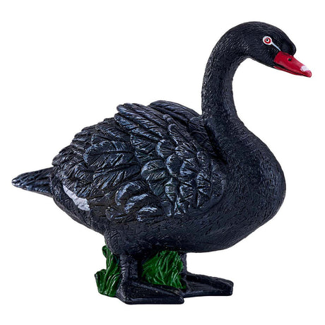 Mojo tierras de cultivo cisne negro - 381067