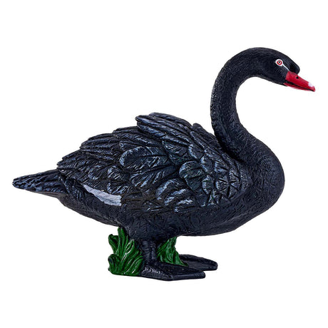 Mojo tierras de cultivo cisne negro - 381067