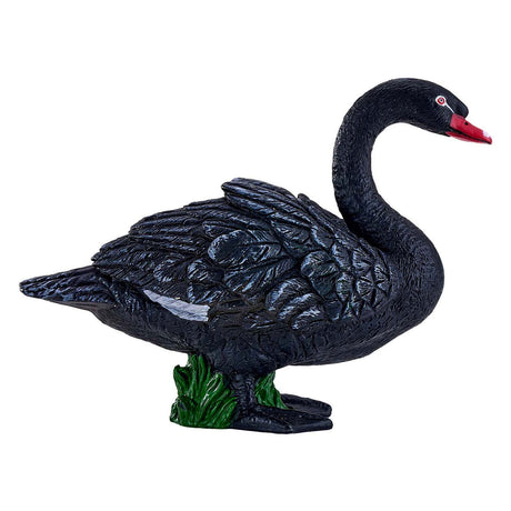 Mojo tierras de cultivo cisne negro - 381067