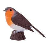 Mojo pájaros del jardín petirrojo 381126