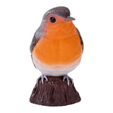 Mojo pájaros del jardín petirrojo 381126