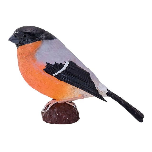 Mojo pájaros de jardín camachuelo 381127