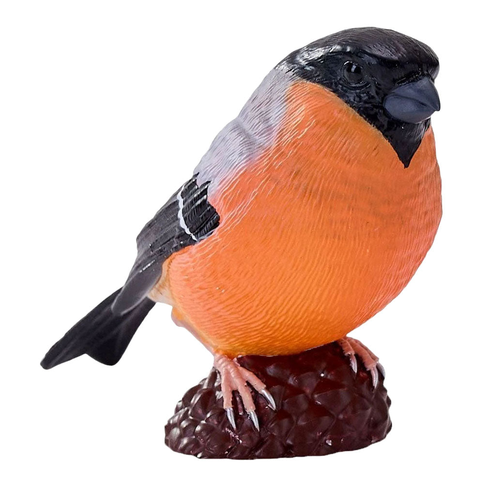 Mojo pájaros de jardín camachuelo 381127