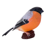 Mojo pájaros de jardín camachuelo 381127