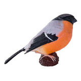 Mojo pájaros de jardín camachuelo 381127