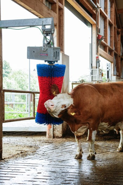 Productos cepillo para vacas happycow maxiswing