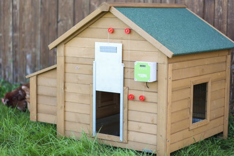 Productos juego puerta gallina automática 30x40cm