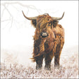 Servilleta ambiente 33cm highlander 20 piezas
