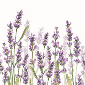 Servilletas Ambiente tonos lavanda 33cm