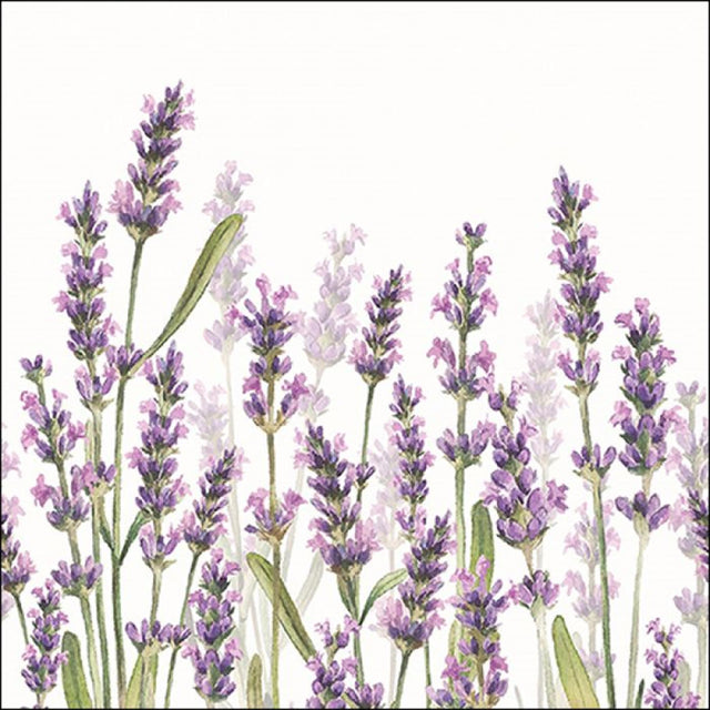 Servilletas Ambiente tonos lavanda 33cm