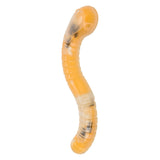Gusano elástico inquieto, 29 cm