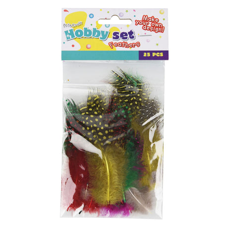 Plumas variadas, 25 uds.