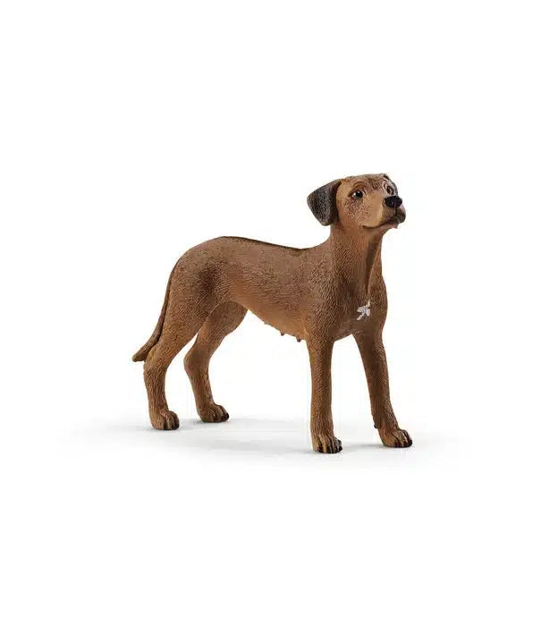 Perro Schleich Ridgeback de Rodesia 13895
