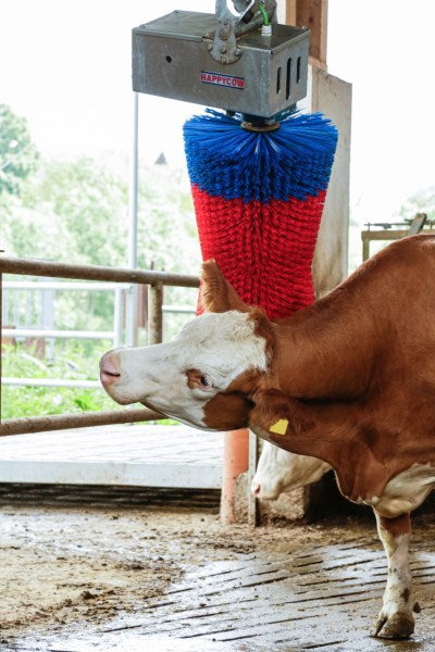 Productos cepillo para vacas happycow maxiswing